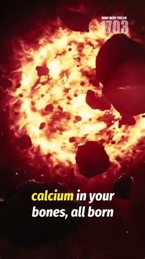 Supernova Explosions: Birthplaces of Life and Elements