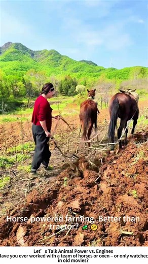 Plowing with a Pair of Horses – Red Shirt in the Field