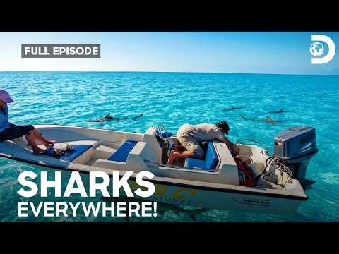 Lost In The Bermuda Triangle | Man, Woman, Wild | S2 Ep 3 | Discovery Channel India