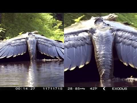 Disturbing Things Found Inside the Chernobyl Exclusion Zone