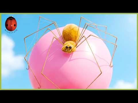 Zzzeplin | Minuscule | 30' Compilation