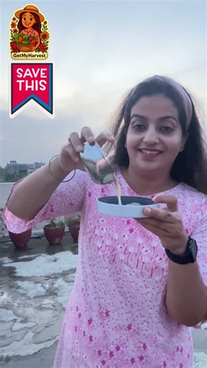 Bye-Bye Snails Slugs Fruit Flies ! 🐌 My DIY Top Secret Trap!