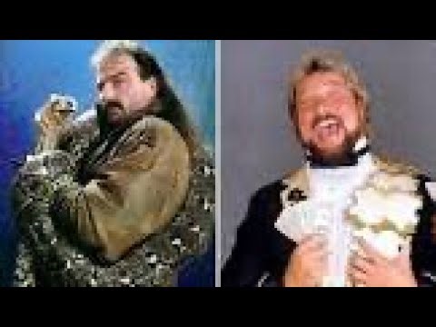 The Million dollar Man ted dibiase vs Jake the snake Roberts for the WWF Million dollar belt at WWF
