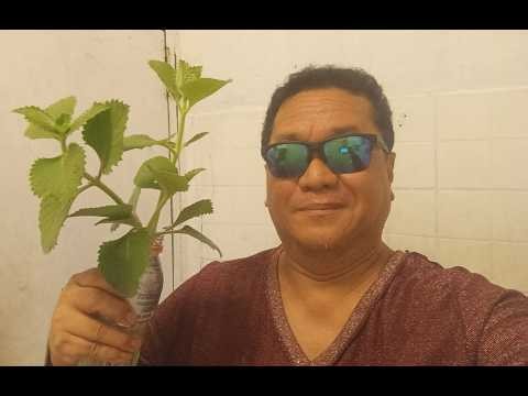 Laura Branigan - Self Control (cover by J. Ang / Dr. Jones) (version 2 of 2)