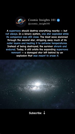 A Star Exploded… But Something Survived