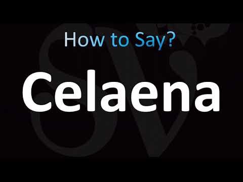 How to Pronounce Celaena (CORRECTLY!)