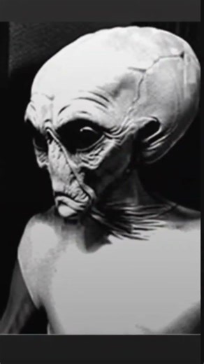 Distress Call This wasn’t a radio signal… it was a warning. #Warning #AlienSignal #Mystery #UFO #FYP