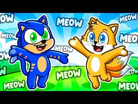 THE NEW SONIC & TAILS!