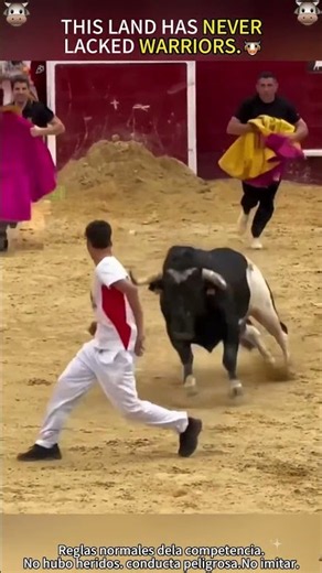 A spectacular bullfighting performance 🐂 #Bullfighting#SpanishBullfight#Matador #bullriding