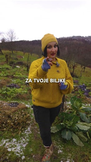 Da Li Su PEČURKE/GLJIVE Problem?