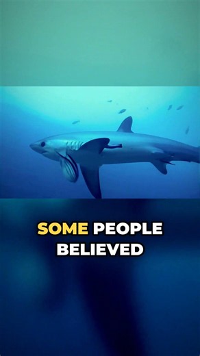 The Ocean Made a Sound Nobody Could Explain… 'The Bloop' 🌊