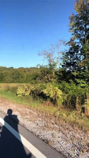 The today’s crazy and the roads I find myself on! No idea where I was. VERY QUESTIONABLE! #kawasaki #Z125 #motorcycle #ride #idk