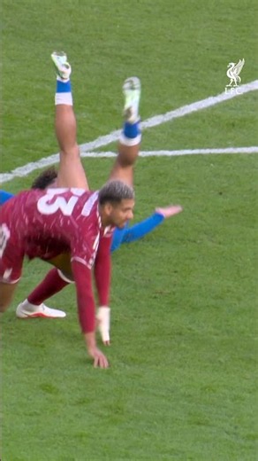 Storm Boelo? ❌ Storm Araujo 🌪️