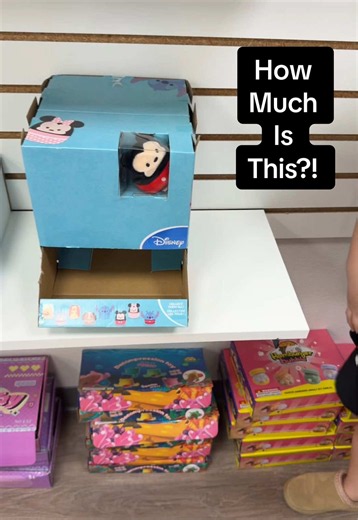 Fidget Toys Plus Sample Toy Box Unboxing: How Much Is This?