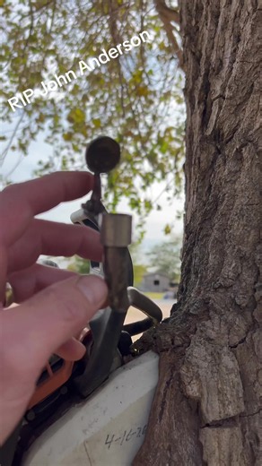 RIP John Anderson #fyp #countrymusic #music #chainsaw #arborist | john anderson