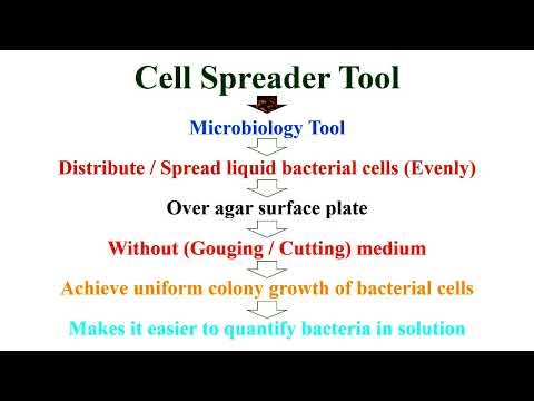 Principle of Cell Spreader Tool