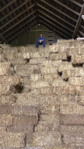 Our son Johnathan, proving that he has inherited the Amish work ethic at age 11 ￼