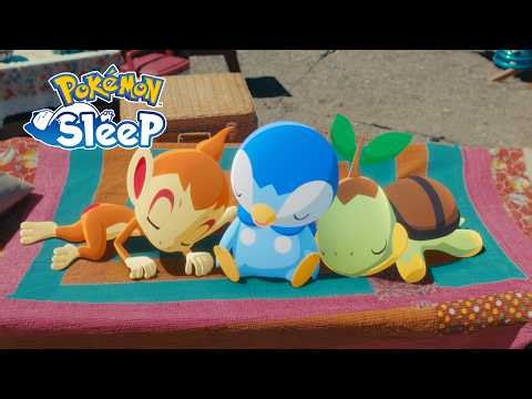 Turtwig, Chimchar, and Piplup Arrive! | Pokémon Sleep 3rd Anniversary 🎉