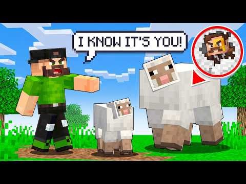 One of these SHEEP is a LIAR (Hide & Seek)