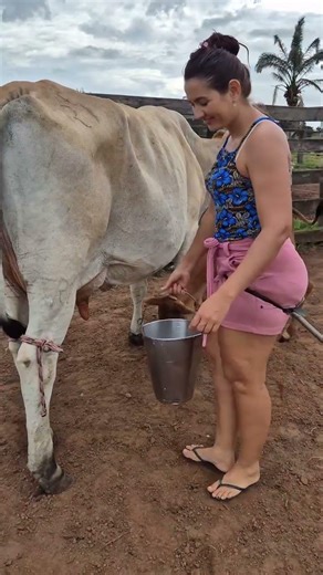 Beautiful Village Life 🐄 | Girl Feeding Calf & Milking Cow | Rural Farm Vlog #villagelife #agro