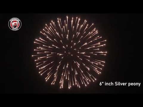 6inch Display shell-41 Silver peony