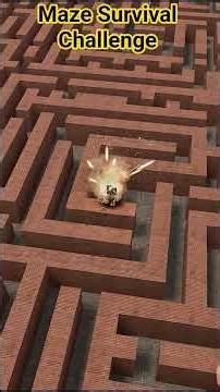 Maze Survival Challenge! #maze #mazegaming #giant #challenge