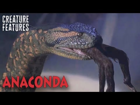The Most Dangerous Snake Hunt Ever | Anaconda (1997) | Creature Features