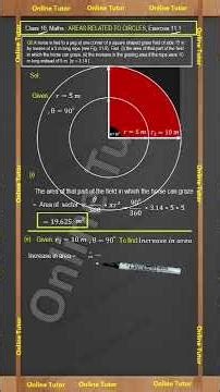 Q8 Ex 11.1 Class 10 Maths | Areas Related to Circles | NCERT Solution Explained Step by Step.