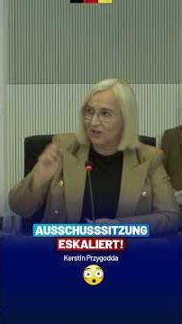 Kerstin Przygodda im Schlagabtausch mit Saskia Esken im Familienausschuss! - AfD-Fraktion