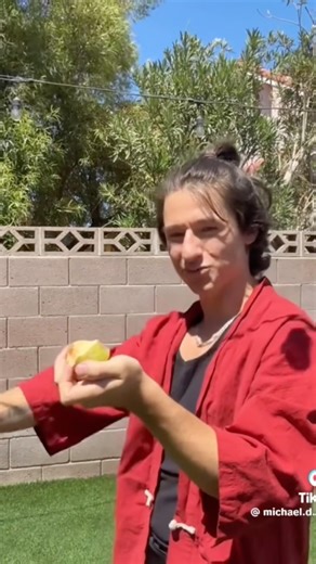 Shinobi from Spy Ninjas chopping fruit #fyp #chadwildclay #vyqwaint #spyninjas #trending #viral