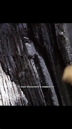 Alien Life Forms Discovered in Meteorite Research