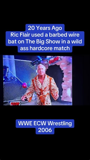 This one is so underrated. Ric Flair and The Big Show got EXTREME! #ecw #ricflair #Wrestling #wrestlingmatch #wrestler