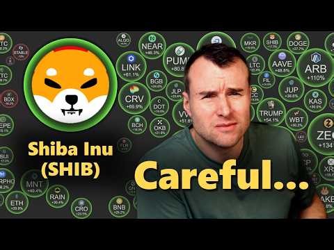 ⚠️ Shiba Inu Leader Went Silent - SHIB Crypto Analysis