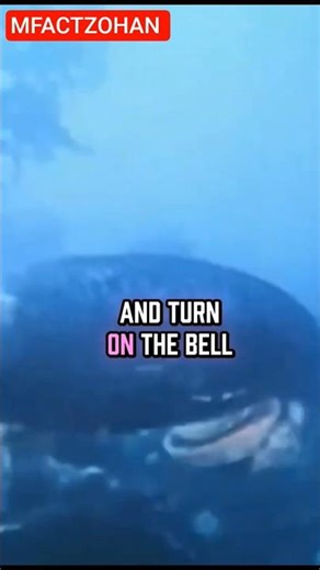 Random Facts That Will Blow Your Mind! (Part 1)#interestingfacts #facts #factshorts #amazingfacts