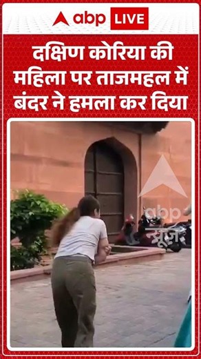 Viral Video | दक्षिण कोरिया की महिला पर ताजमहल में बंदर ने हमला कर दिया | #ytshorts #breakingnews