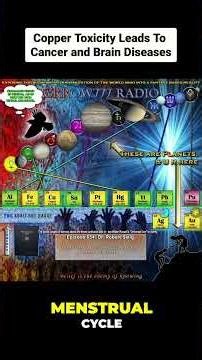 Cell Death Crisis: From Copper Imbalance To Catastrophe