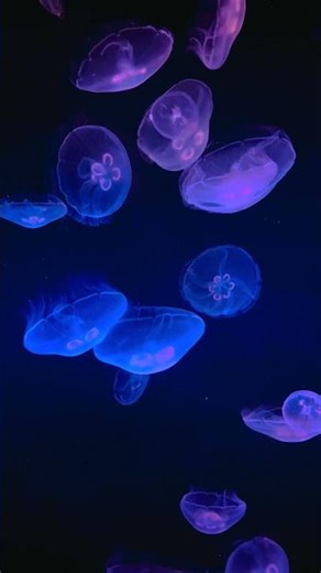 Russia's Darkest Haunted Kremlin Secrets