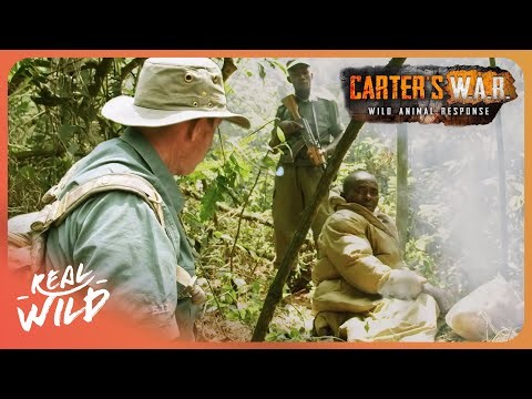 Raiding an Illegal Animal Poaching Camp in the Congo | Carter's WAR