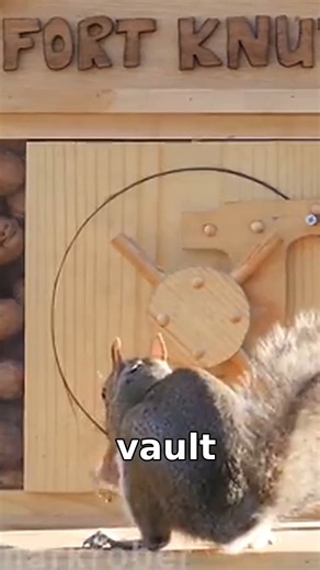 He Built a Squirrel-Proof WALNUT VAULT… The Squirrels ROBBED It 🐿️ (@MarkRober / YT)