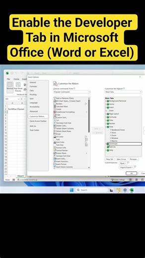 How to Enable the Developer Tab in Microsoft Office (Word or Excel)