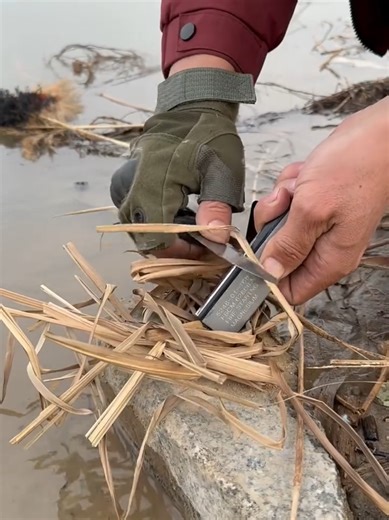 Satisfying Tools in Action: A Visual Delight