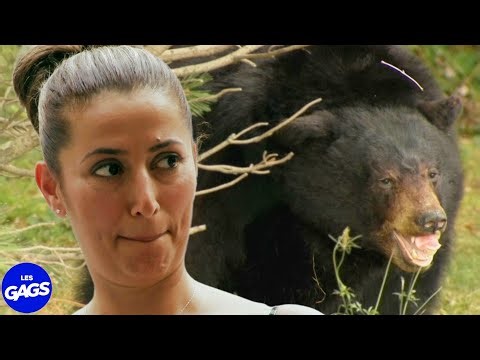 Elle sait comment calmer un ours | Juste Pour Rire Les Gags