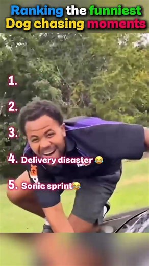 Top 5 funniest dog chasing moments 😂
