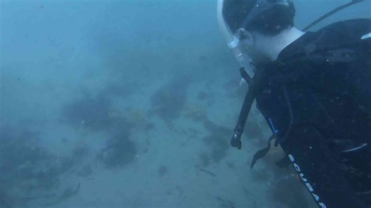 Boyfriend makes a heartfelt proposal during their first scuba diving experience