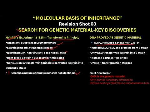 CBSE GRADE 12 GRIFFITH'S EXPERIMENT Molecular Basis of Inheritance 3