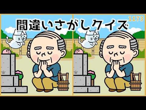 【間違い探しクイズ】夏を感じるイラスト集！シニア向け脳トレ【デイサービス】#1173