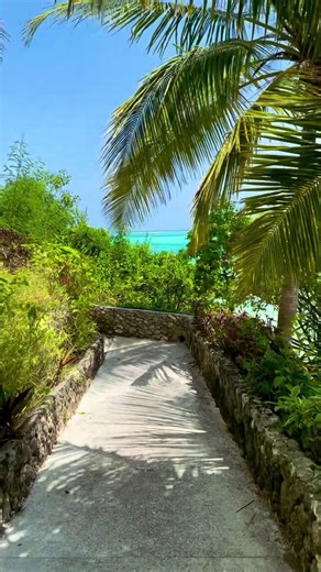 Discover the Tropical Beauty of Zanzibar Beach