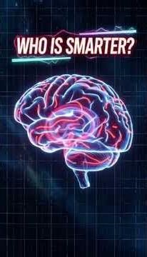 ⚡ Wait, What? The "Brain Software"