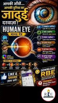 How the Human Eye Works 👁️ | Science Behind Vision| #gkrevolution #ssccgl #rrbntpc #humaneye #rbe