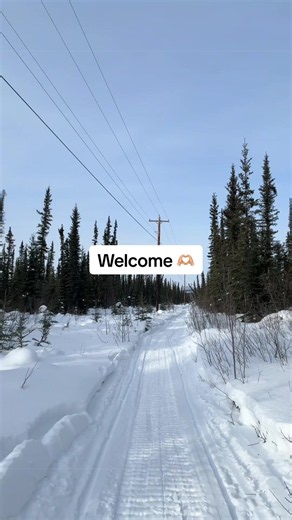 If you’re new here, welcome!! I would say I worry less about wildlife than what most may think! It doesn’t mean we’re careless but we also don’t live life in fear! We don’t put ourselves in situations or go out unprotected asking for trouble. We just live our everyday life how it’s meant to be 🫶🏼 #alaska #alaskalife #dayinthelife #dayinmylife #lifeisgood
